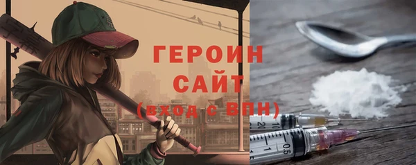гидра Гатчина