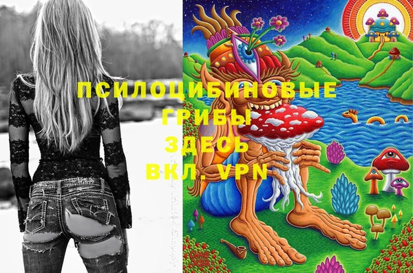 метадон Аркадак