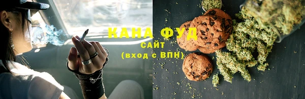 мдпв Галич