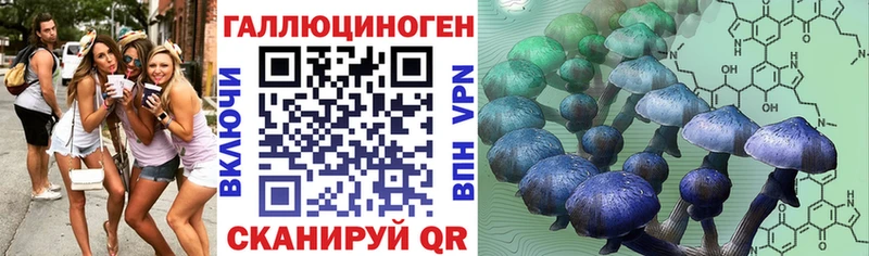 Галлюциногенные грибы MAGIC MUSHROOMS  blacksprut зеркало  Ельня 