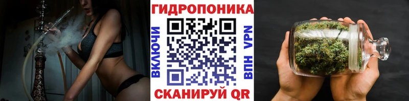 Марихуана гибрид Ельня